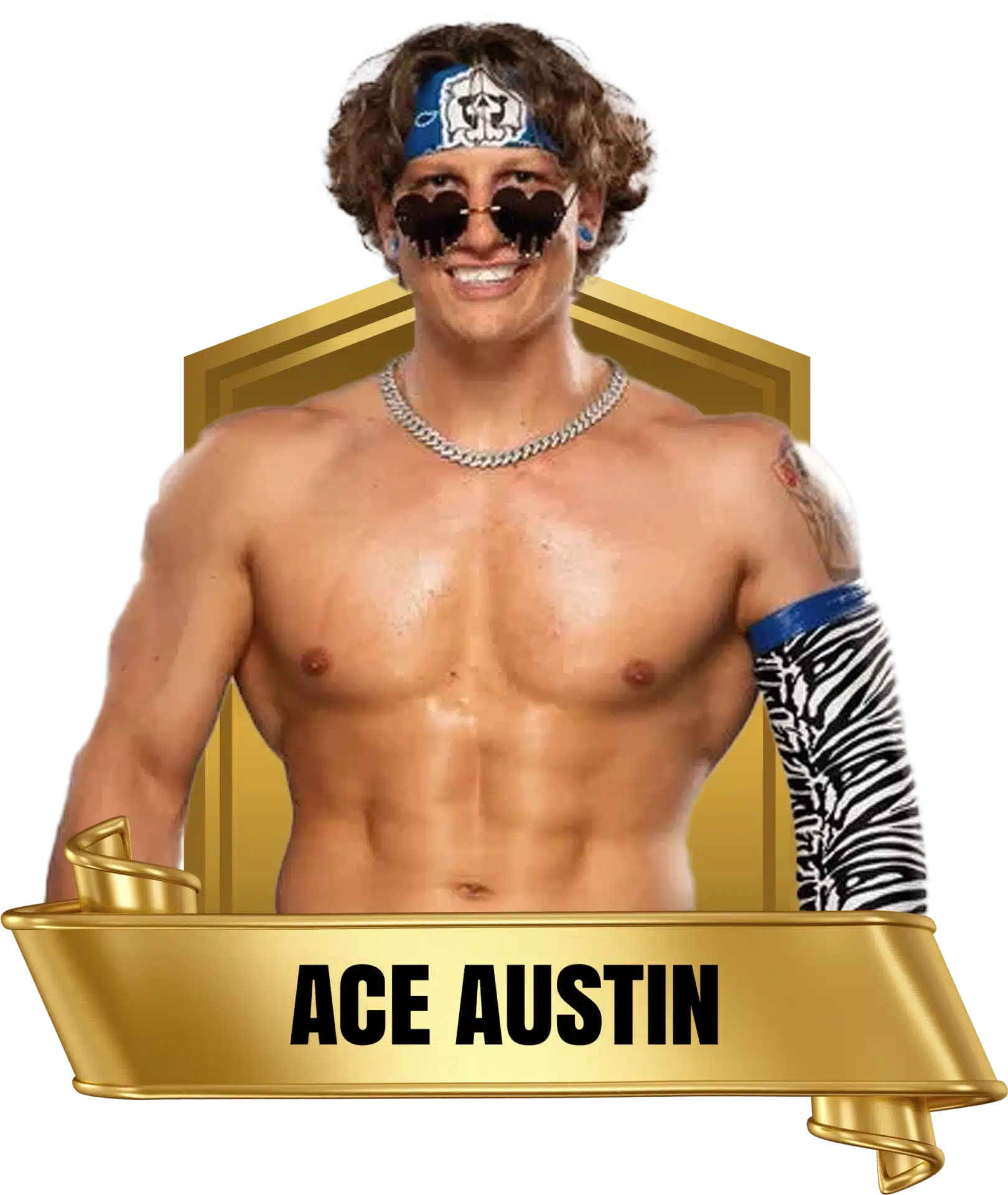 Future Stars of Wrestling FSW Alumni Ace Austin