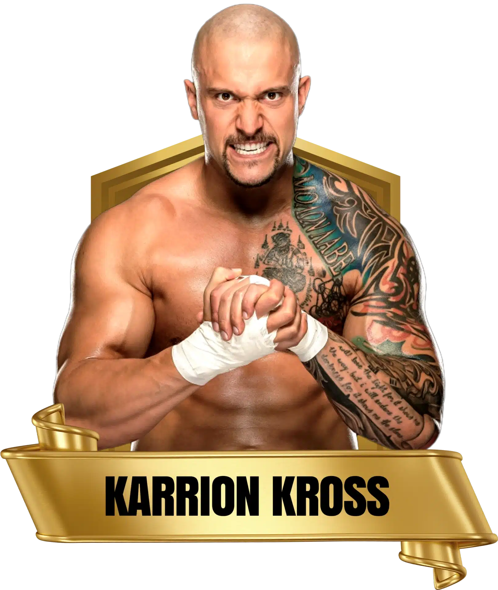 Future Stars of Wrestlng FSW Alumni Karrion Kross