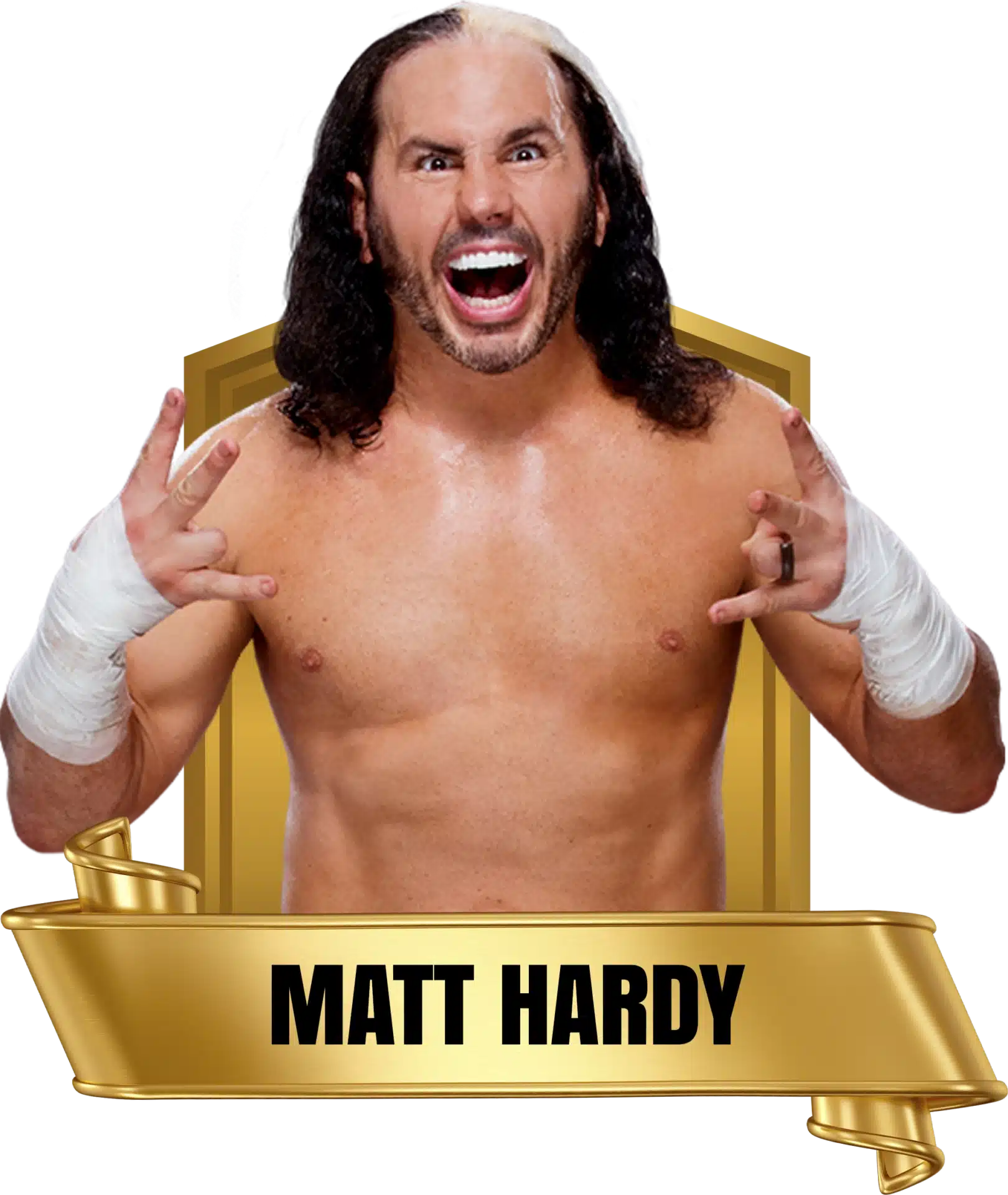 Future Stars of Wrestlng FSW Alumni Matt Hardy