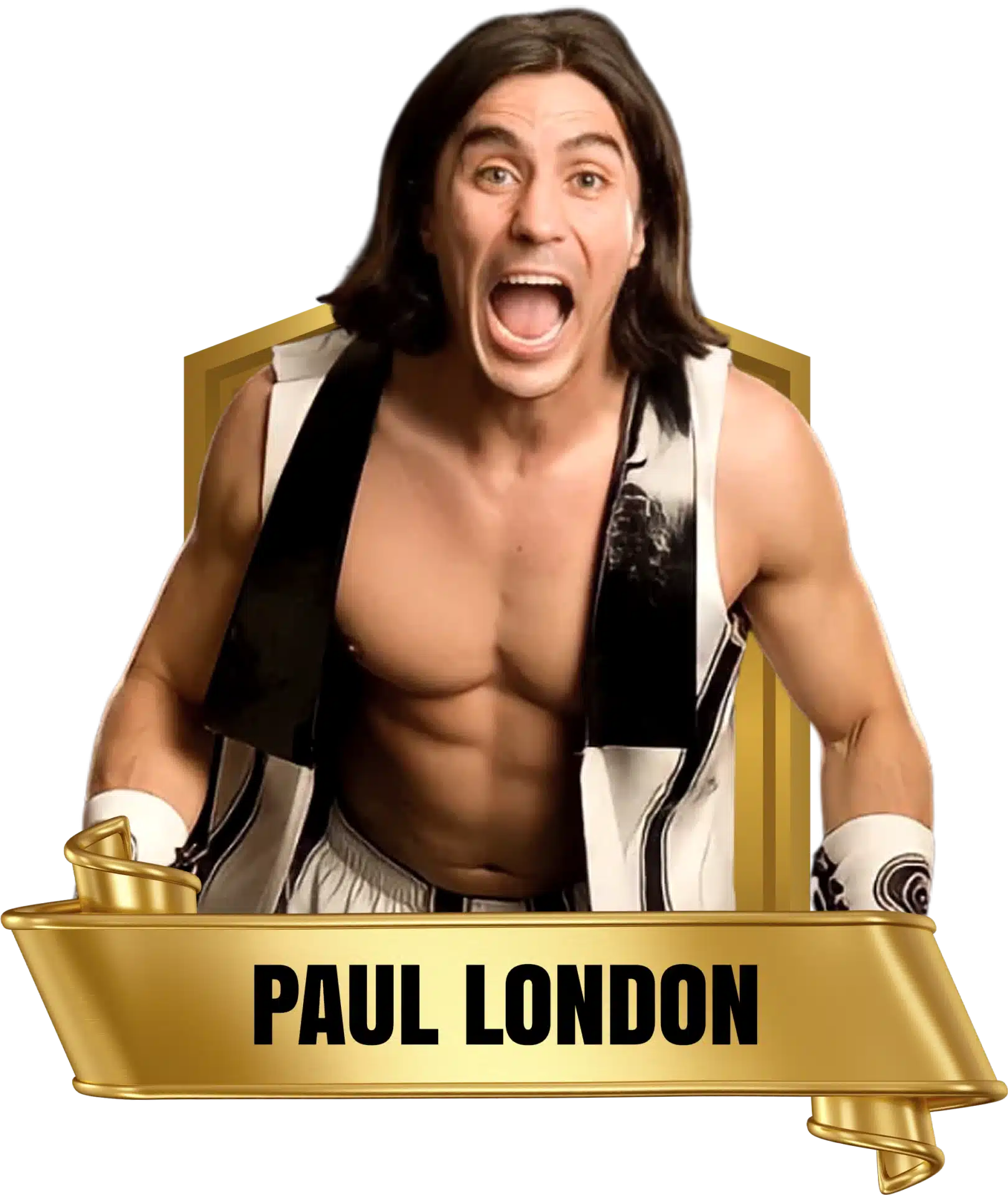 Future Stars of Wrestlng FSW Alumni Paul London