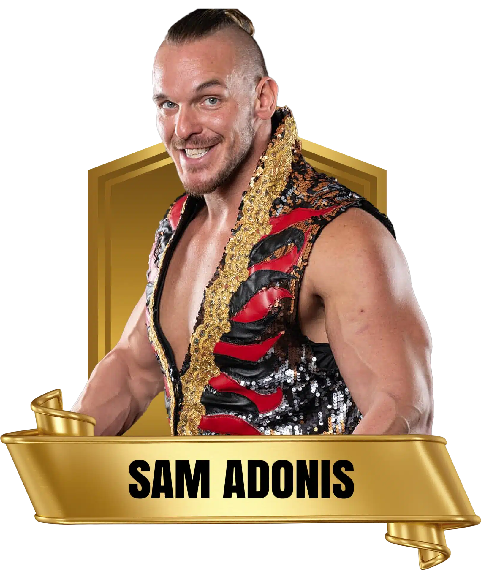 Future Stars of Wrestling FSW Alumni Sam Adonis