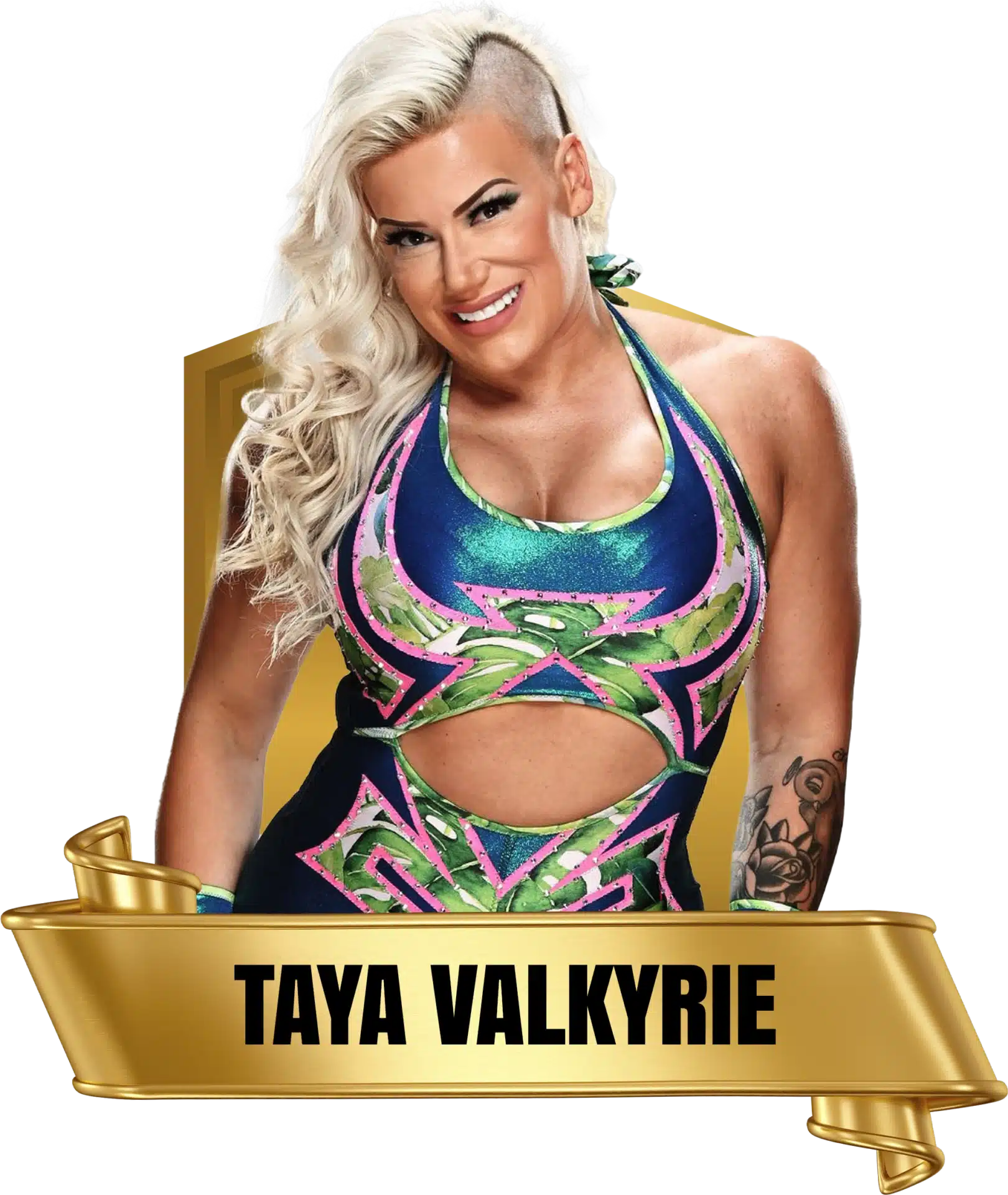 Future Stars of Wrestlng FSW Alumni Taya Valkyrie