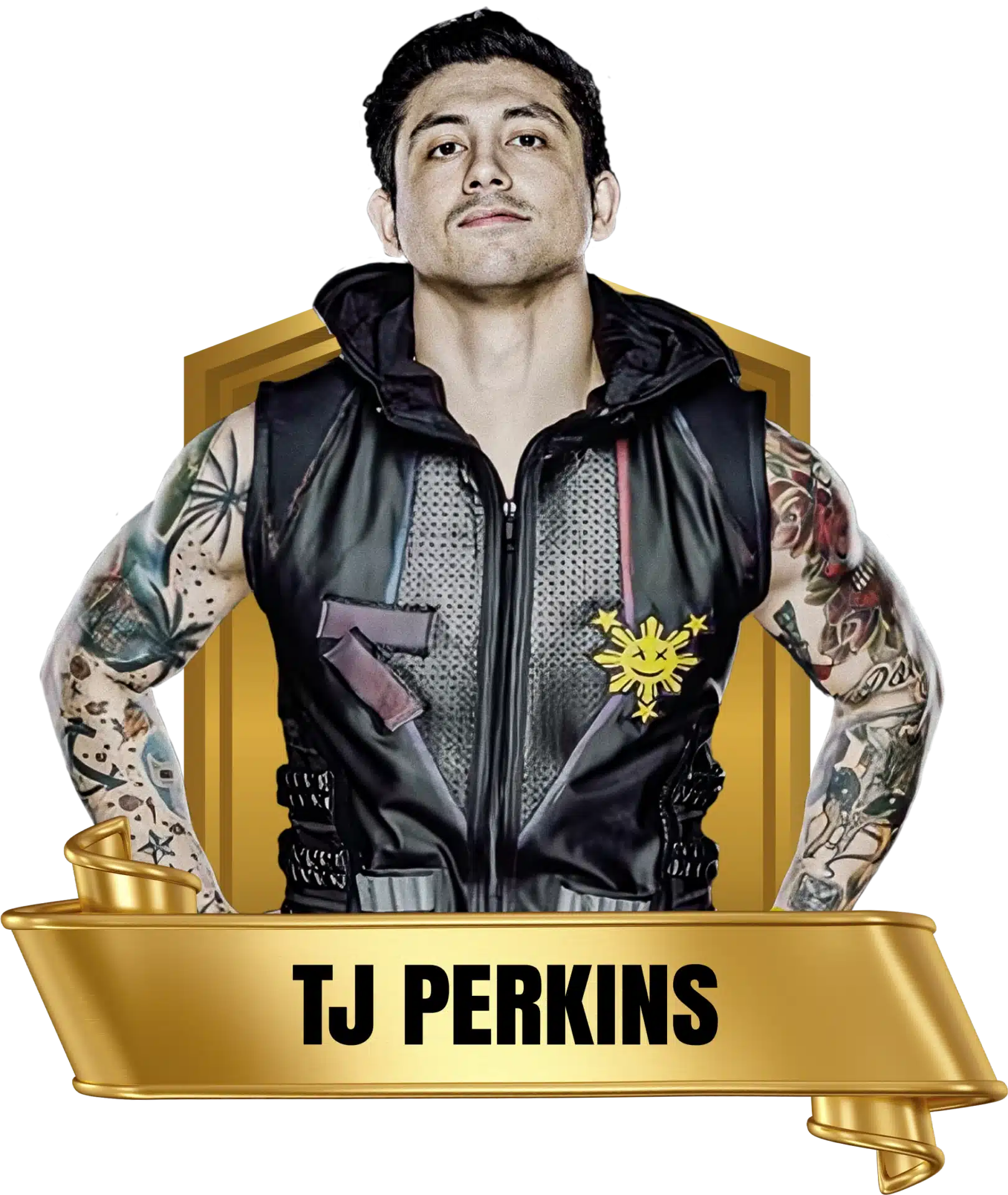 Future Stars of Wrestlng FSW Alumni TJ Perkins