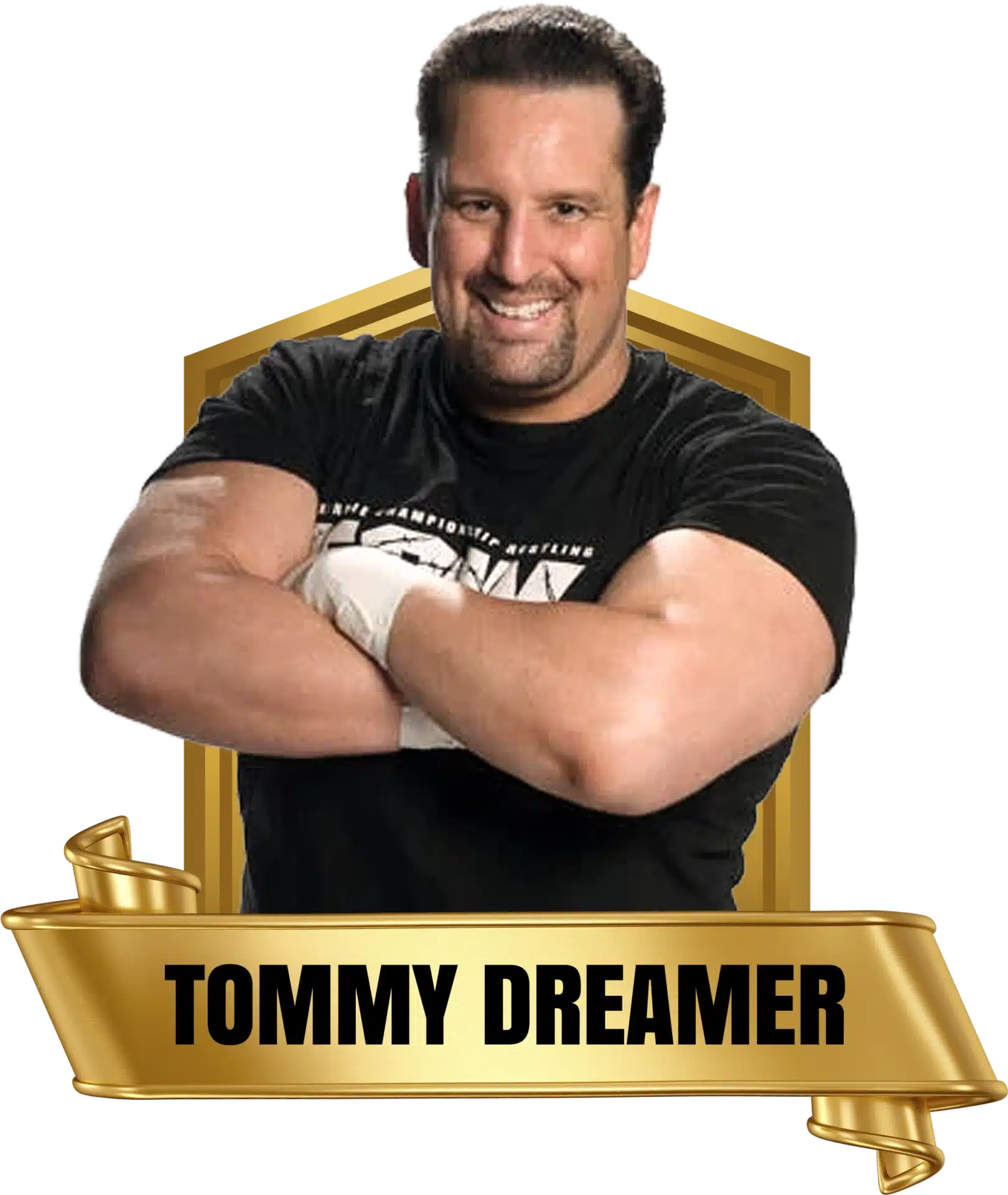 Future Stars of Wrestling FSW Alumni Tommy Dreamer