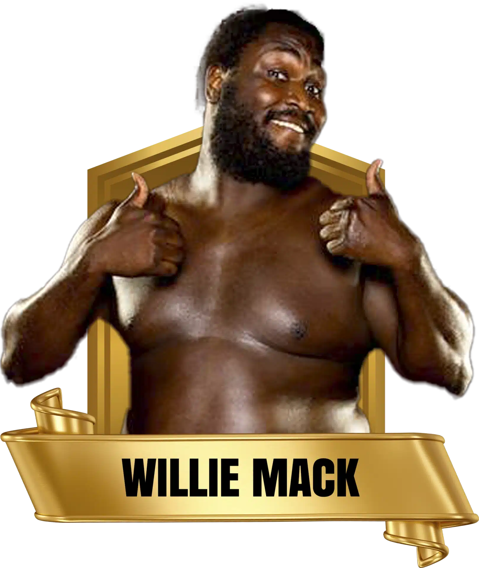 Future Stars of Wrestlng FSW Alumni Willie Mack