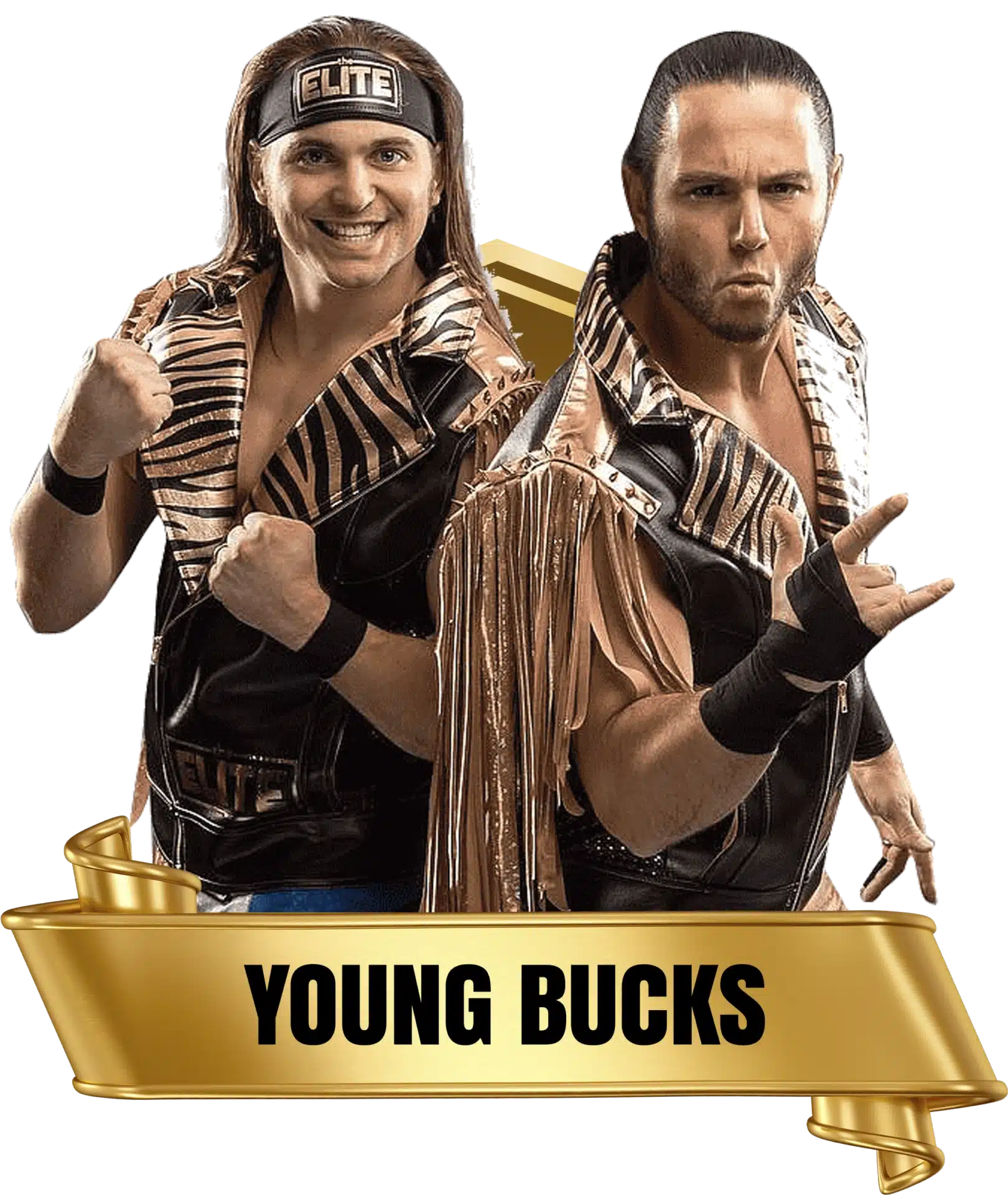 Future Stars of Wrestlng FSW Alumni Young Bucks