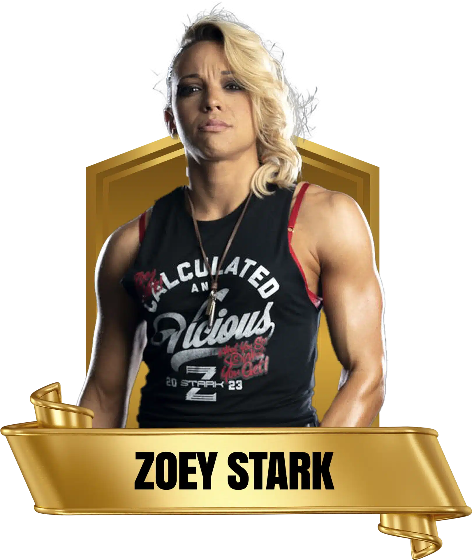 Future Stars of Wrestlng FSW Alumni Zoey Stark