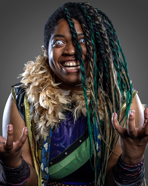 Future Stars of Wrestling FSW Roster SOS